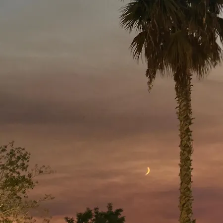 Bright Seaside Apartment, 100m From The With Sea Views Appartamento *