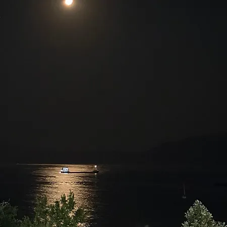 Bright Seaside Apartment, 100m From The With Sea Views