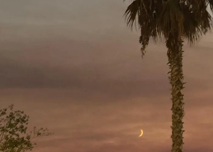 Bright Seaside Apartment, 100m From The With Sea Views Appartamento *